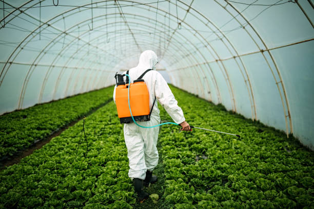  Upper Fruitland, NM Pest Control Pros