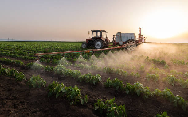 Best Pest Prevention Services  in Upper Fruitland, NM