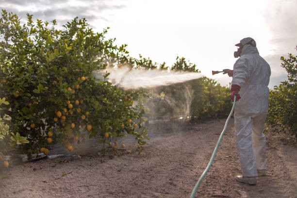 Best Exterminator Services  in Upper Fruitland, NM