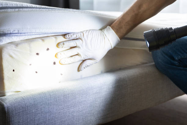 Best Best Pest Control Companies  in Upper Fruitland, NM