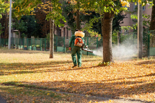 Best Pest Prevention Services  in Upper Fruitland, NM