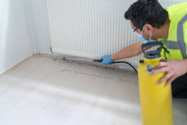 Best Affordable Pest Control Services  in Upper Fruitland, NM