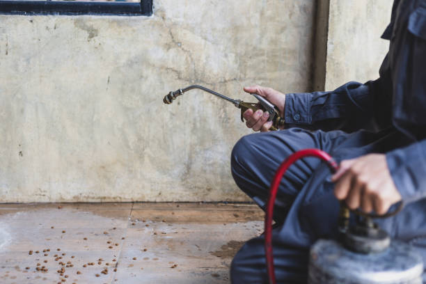 Best Termite Control Services  in Upper Fruitland, NM